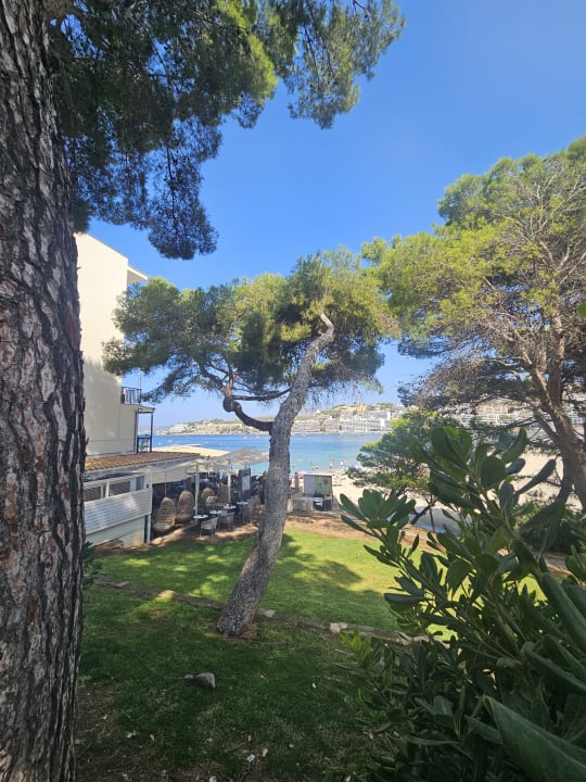 Strand Hotel Bahia del Sol