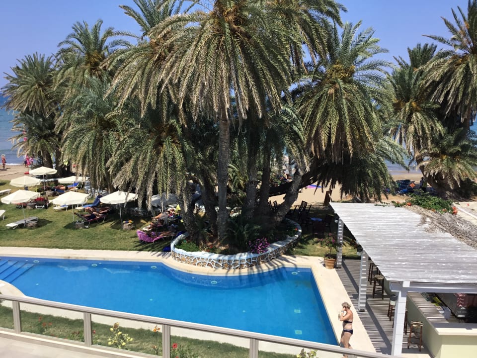 Pool Zeus Hotels Palm Beach