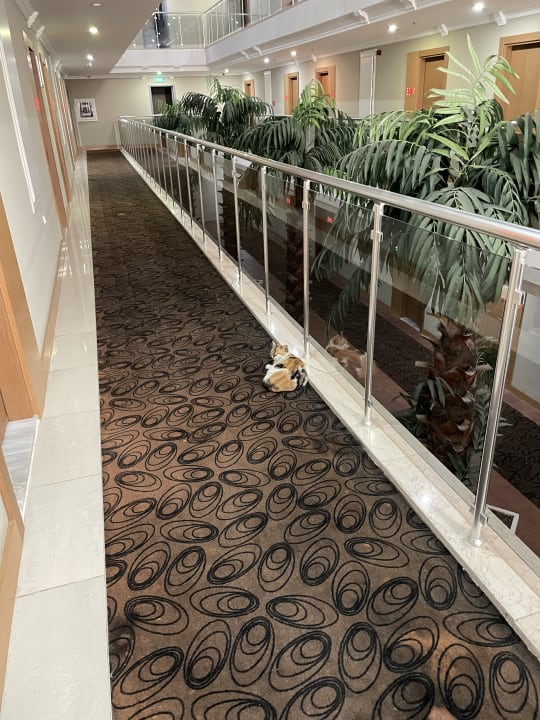 Sonstiges Hane Family Resort