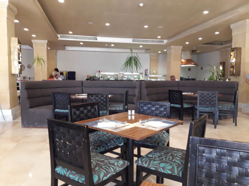 Gastro Amphoras Blu