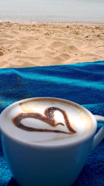 Gastro Shams Prestige Abu Soma-Adults Only