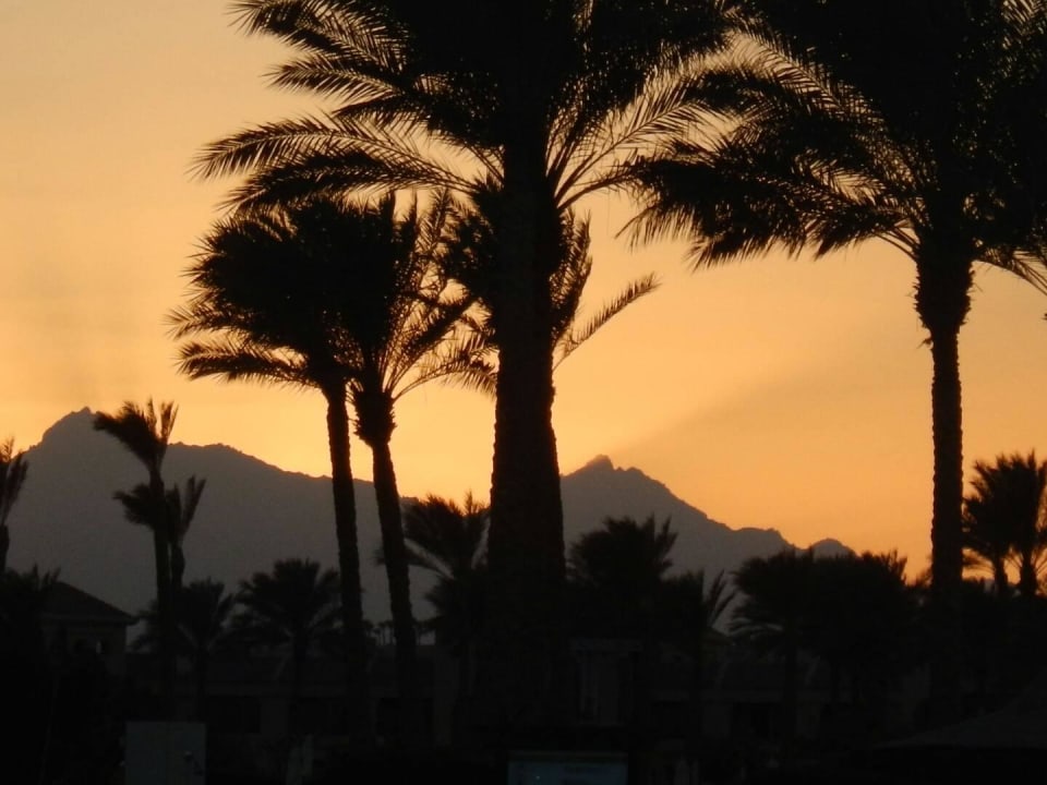 Abendliche Stimmung :-) K.+J.F.  Cleopatra Luxury Resort Makadi Bay