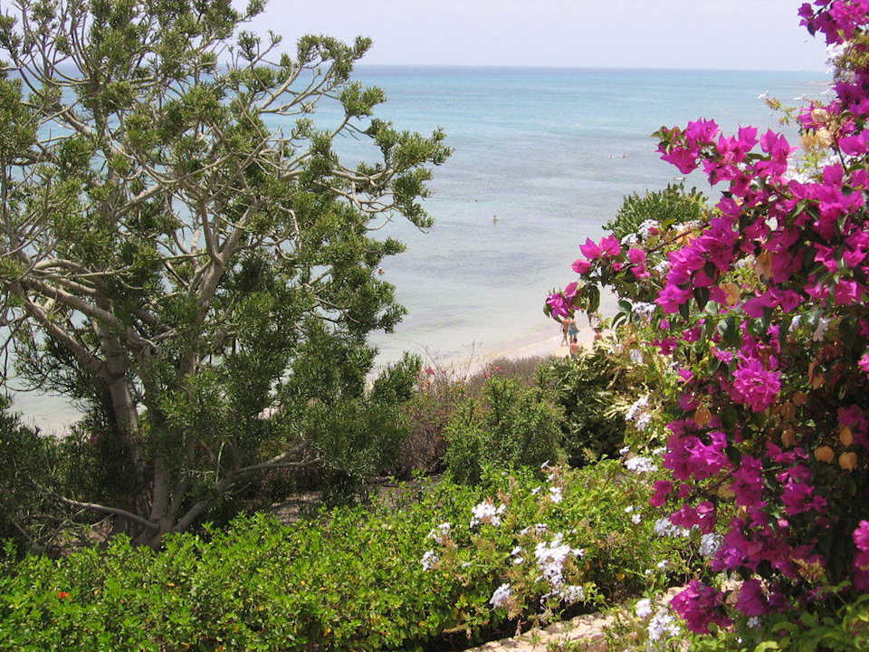 Ozean von der Terrasse SBH Hotel Taro Beach