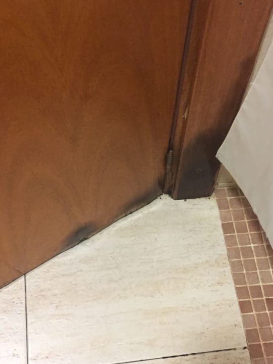 Zimmer htop Royal Star