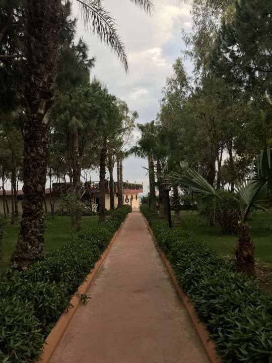 Gartenanlage Club Turtas Beach Hotel