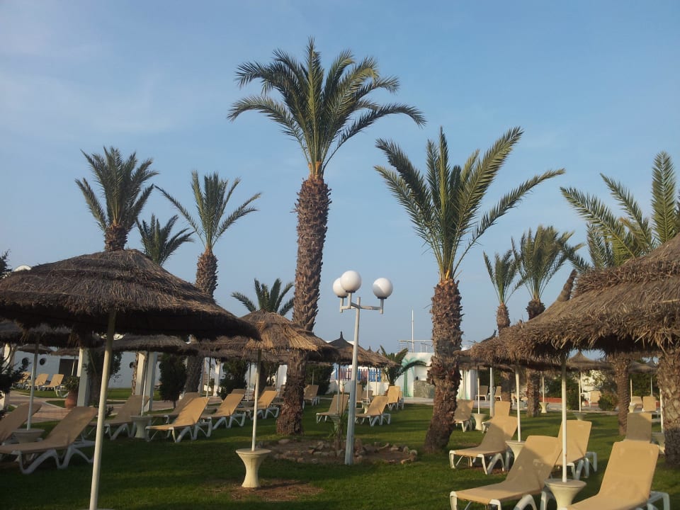 Liegewiese El Mehdi Beach Resort