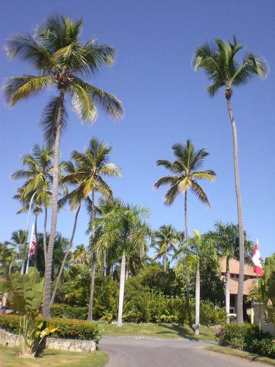 Royal Suites-Bereich Grand Palladium Select Bávaro Resort & Spa