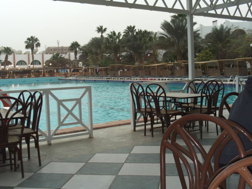 Pool und Bar Arabia Azur Resort