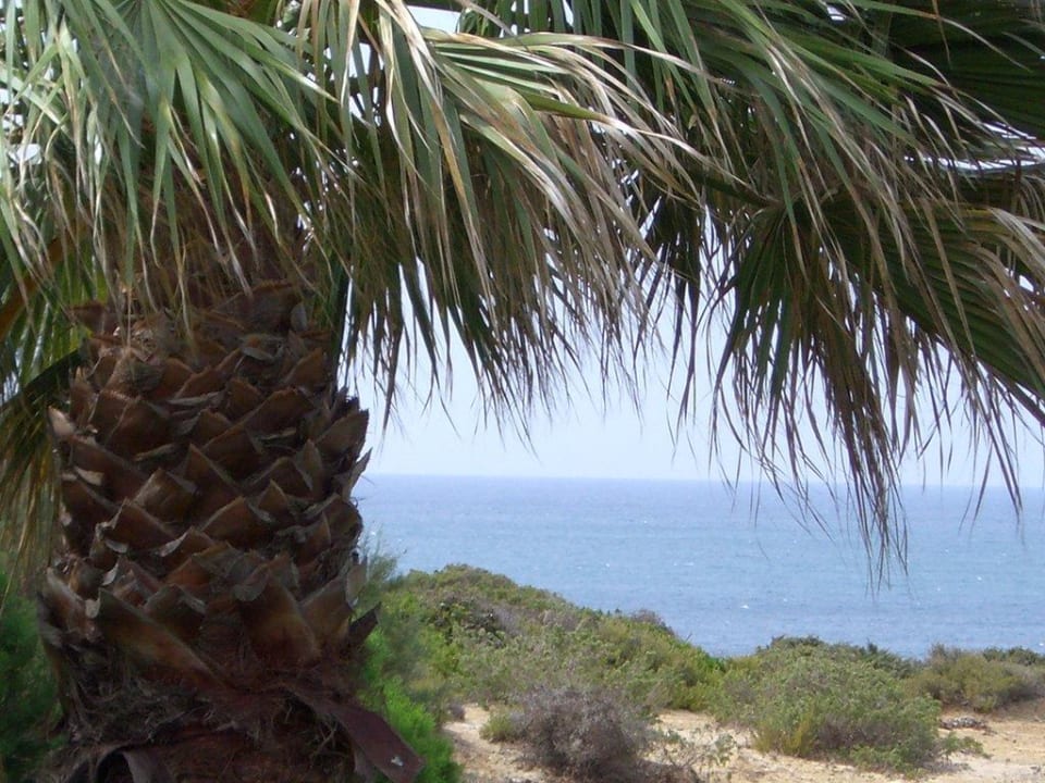 Atlantik Aldiana Club Andalusien