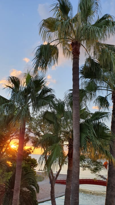Zimmer allsun App.-Hotel Orquidea Playa