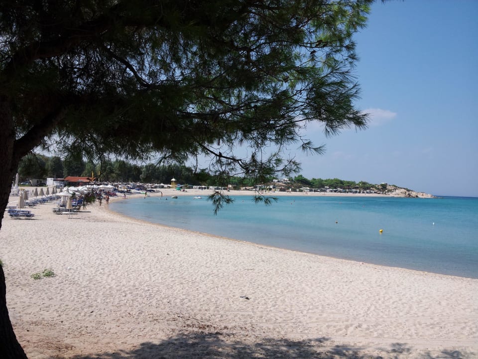 Platanitsi Beach! GreenHill Holiday Suites Sarti