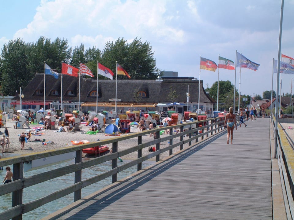 Blick von der Dahmer Seebrücke auf den Strand Ferienhaus Mika