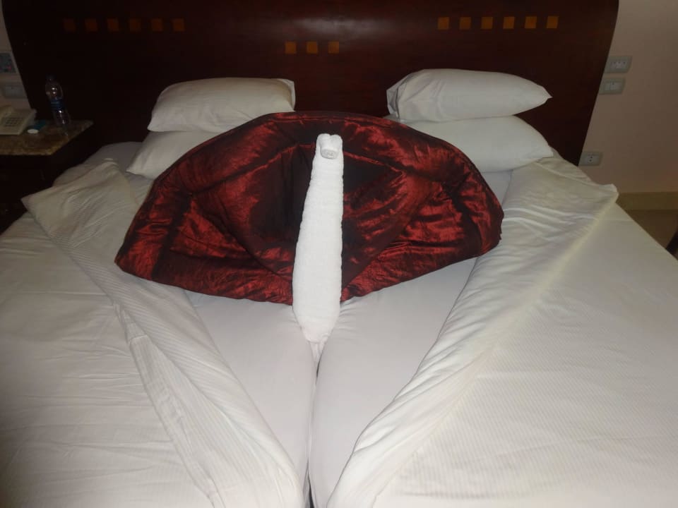 Tolle Kunstwerke von den lieben Angestellten :-) Shams Prestige Abu Soma-Adults Only