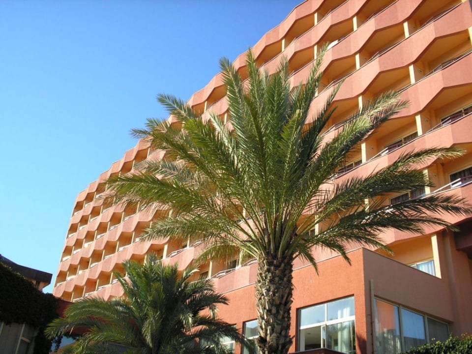 Das Fulya Kamelya Fulya Hotel