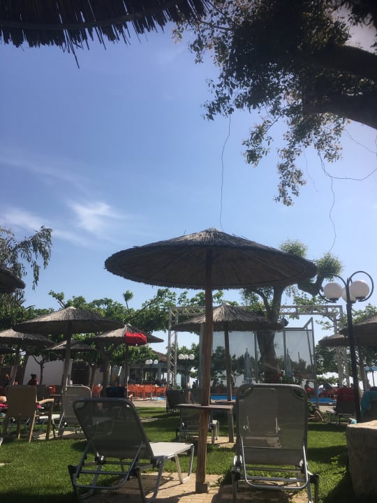 Gartenanlage Corissia Beach Hotel