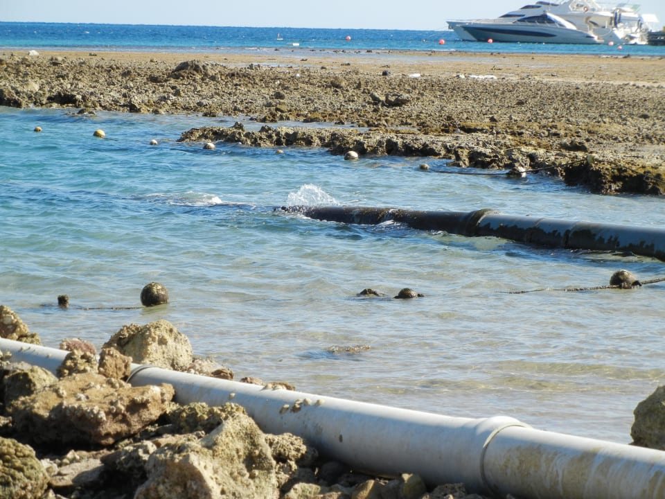 Die Flut im Anmarsch Cleopatra Luxury Resort Makadi Bay