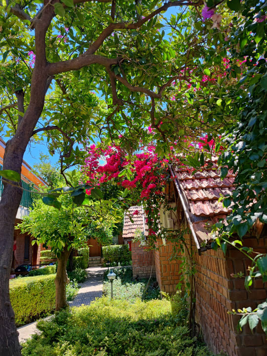 Gartenanlage Can Garden Beach