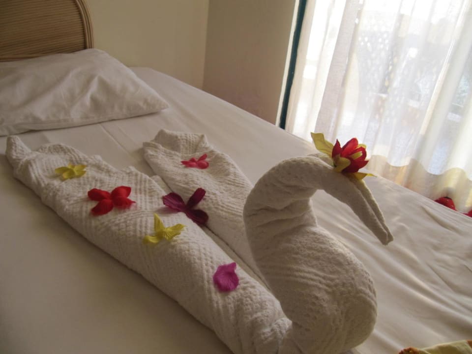 Schwan auf dem Bett Aska Hotel Just in Beach