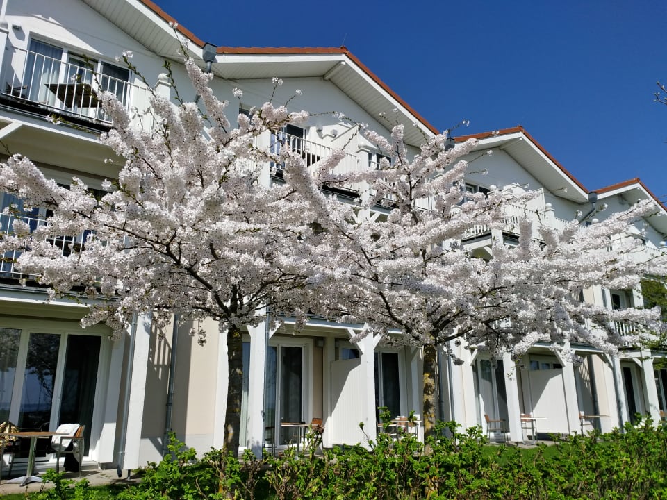 Außenansicht Lindner Hotel Boltenhagen, part of JdV by Hyatt