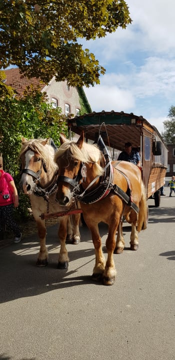 Sport & Freizeit Ferienhof Frieslandstern