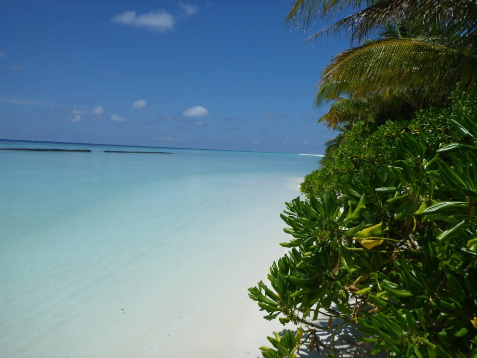 Blick von DBV 348 Richtung Sandbank Kuramathi Maldives