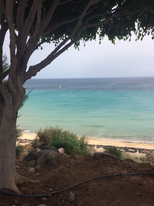 Ausblick Marina Playa Suite Hotel