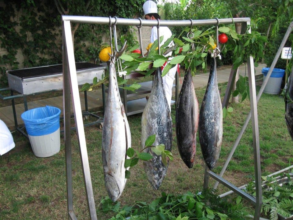 Der leckere Thunfisch beim Gala-Abend Trendy Aspendos Beach Hotel