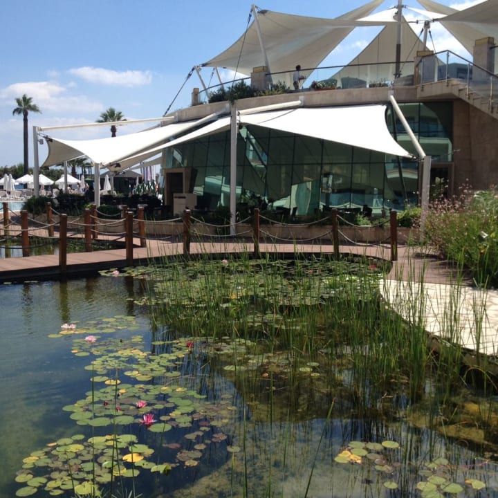 Wunderschöne Gartenanlage Paloma Pasha