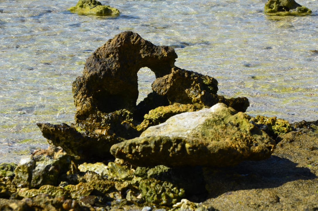 Korale Malikia Resort Abu Dabbab