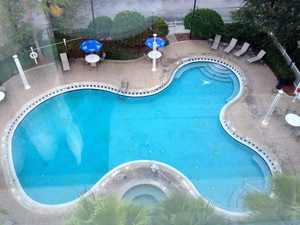 Blick auf den Pool, 6. Stock Hilton Garden Inn Orlando at SeaWorld