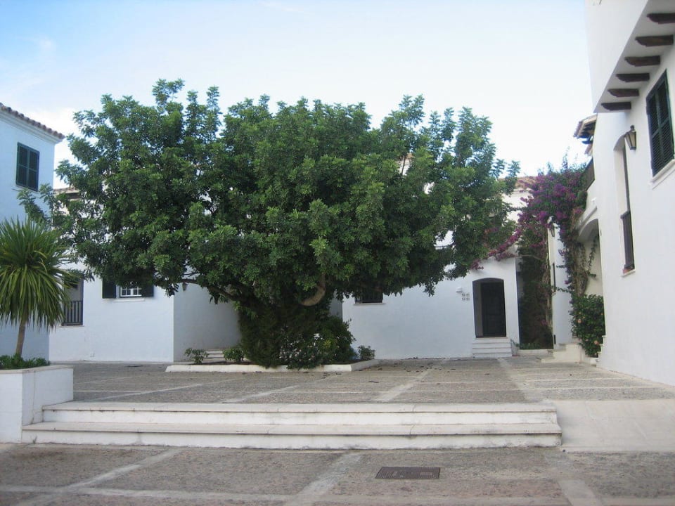 Außenansicht Hotel / Appartments Grupotel Club Menorca