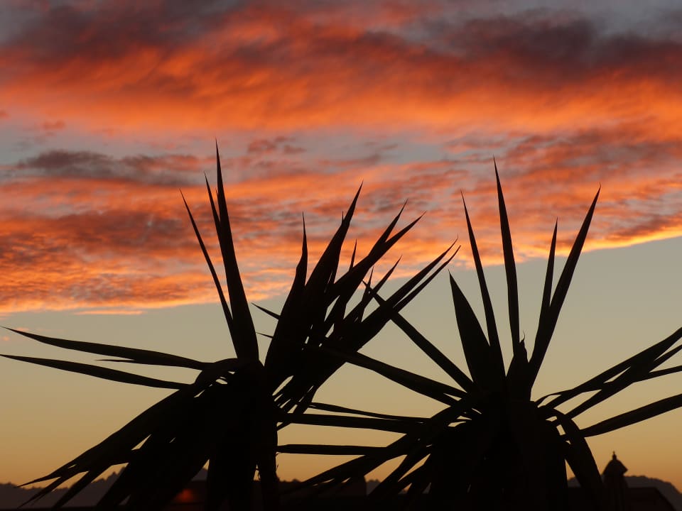 Ausblick Steigenberger Aqua Magic