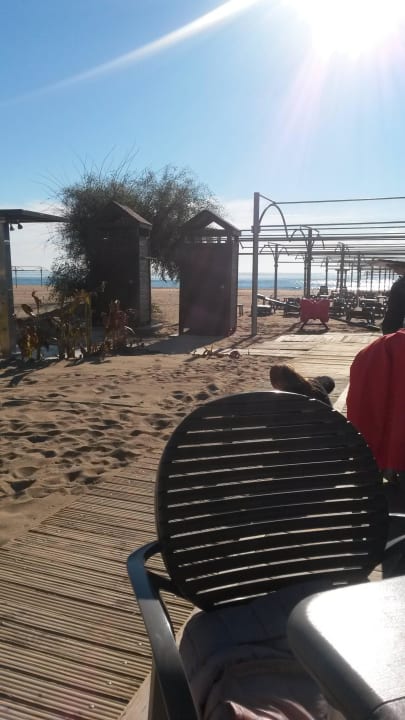 Strandbar Aydinbey Kings Palace & Spa