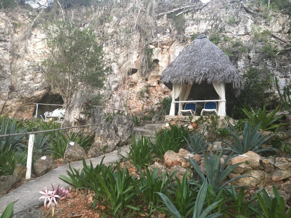Strand Paradisus Rio de Oro Resort & Spa - Adults only