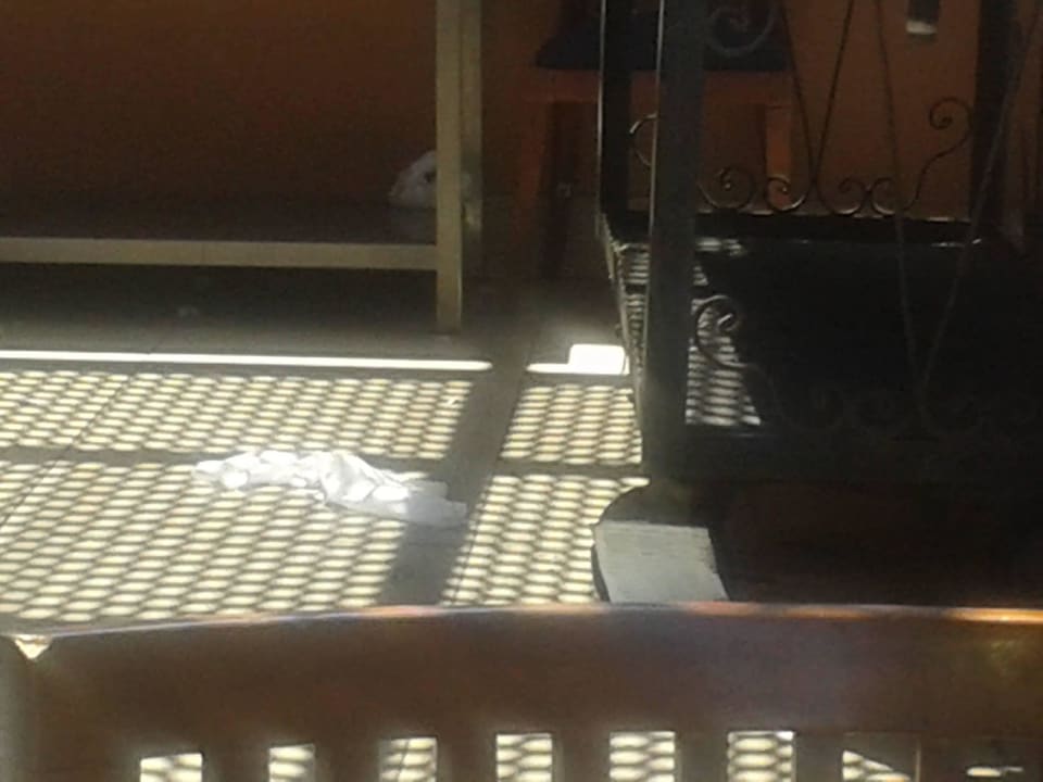 Aussenterrasse  Stella Garden Resort & Spa, Makadi Bay