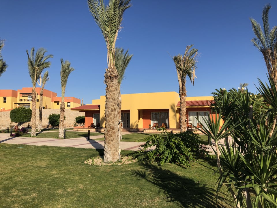 Gartenanlage Malikia Resort Abu Dabbab