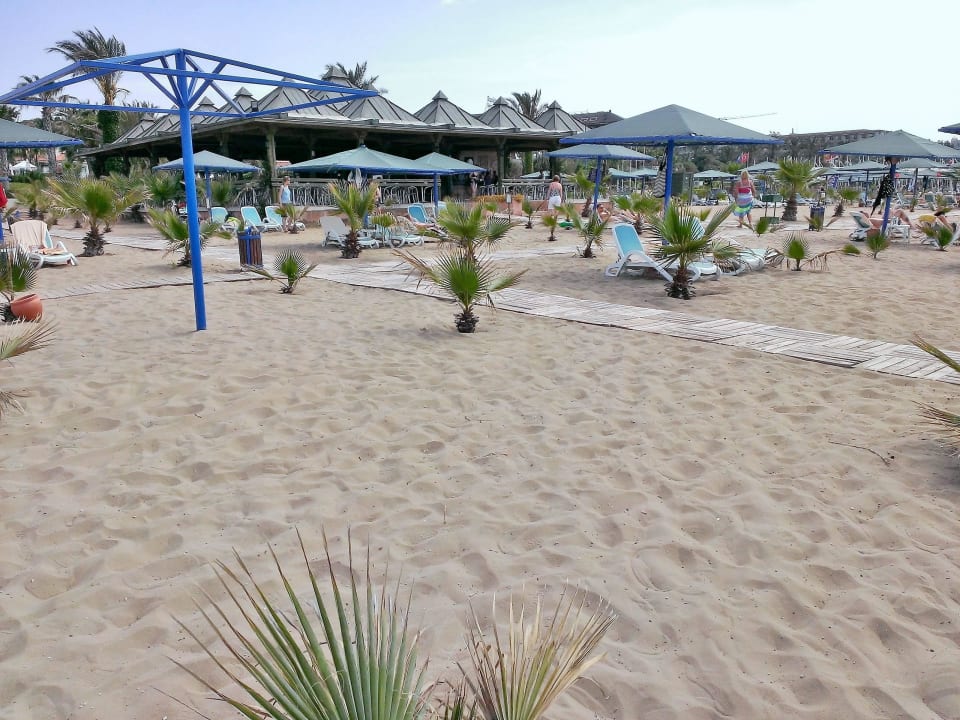 Strand mit Palmen Paloma Oceana