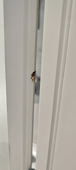 Zimmer Apartments Evalia