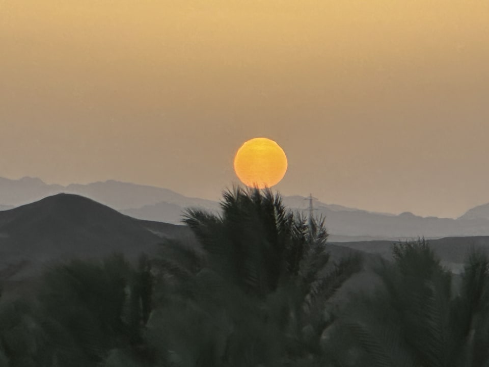 Ausblick Malikia Resort Abu Dabbab