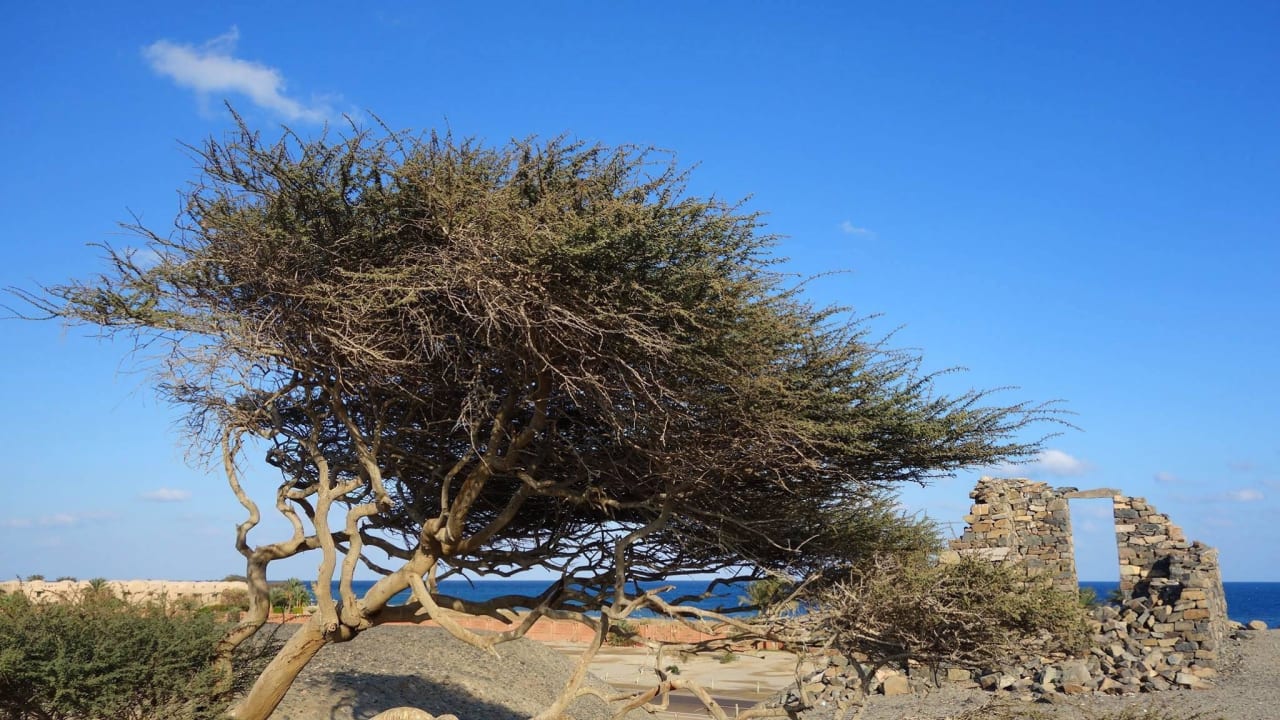 Wadi Gimal Shams Alam Beach Resort