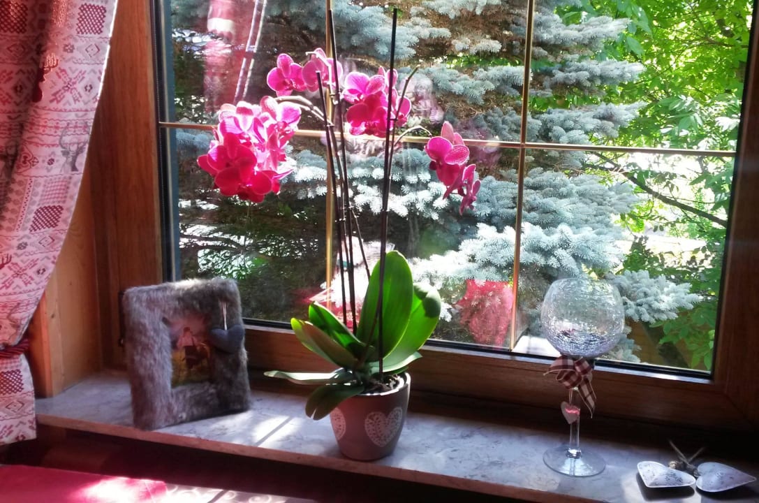 Impressionen Landgasthof Hotel Göbel