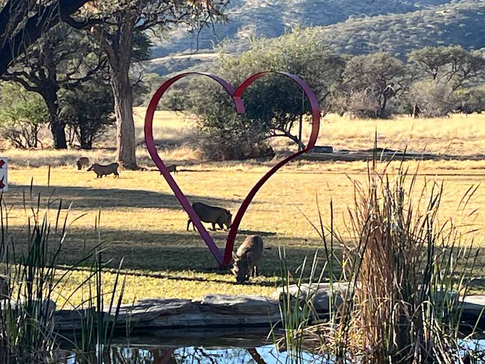 Gartenanlage Okapuka Safari Lodge