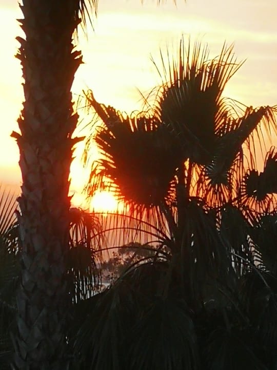 Ausblick Hotel Grand Side