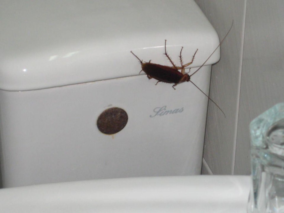 Kakalake Memphis Hotel