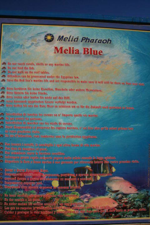 Hotel Sonesta Pharao Beach Resort Pharaoh Azur Resort