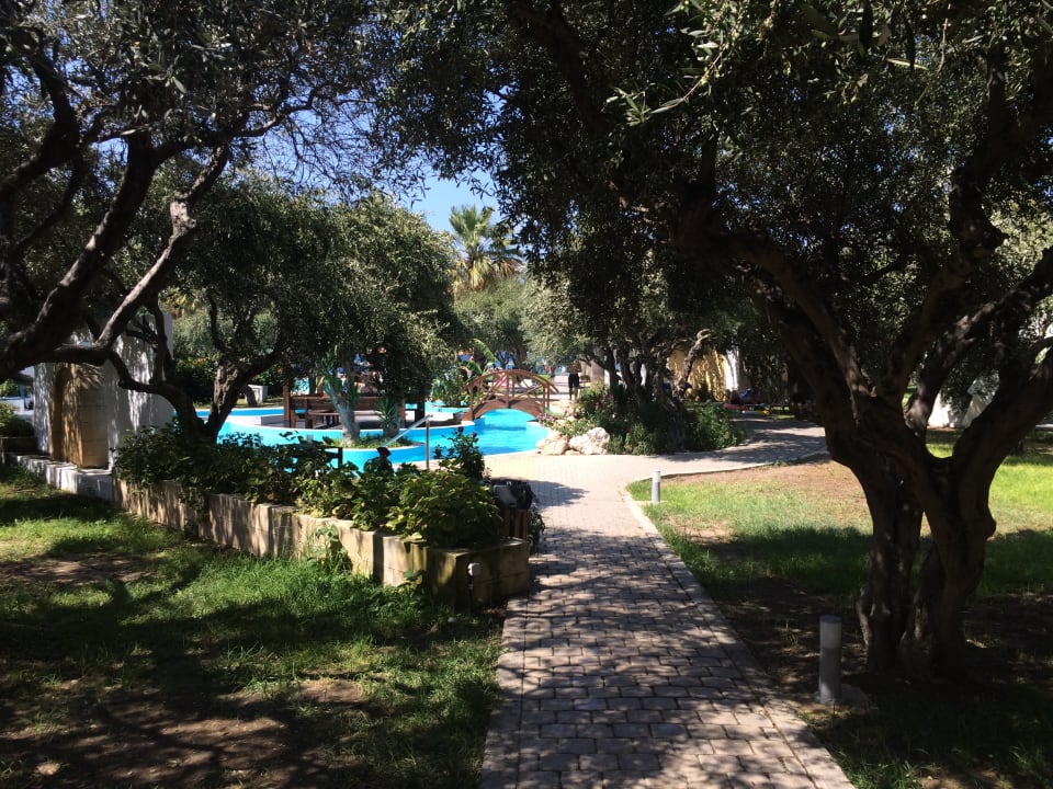 Gartenanlage TUI KIDS CLUB Alex Beach