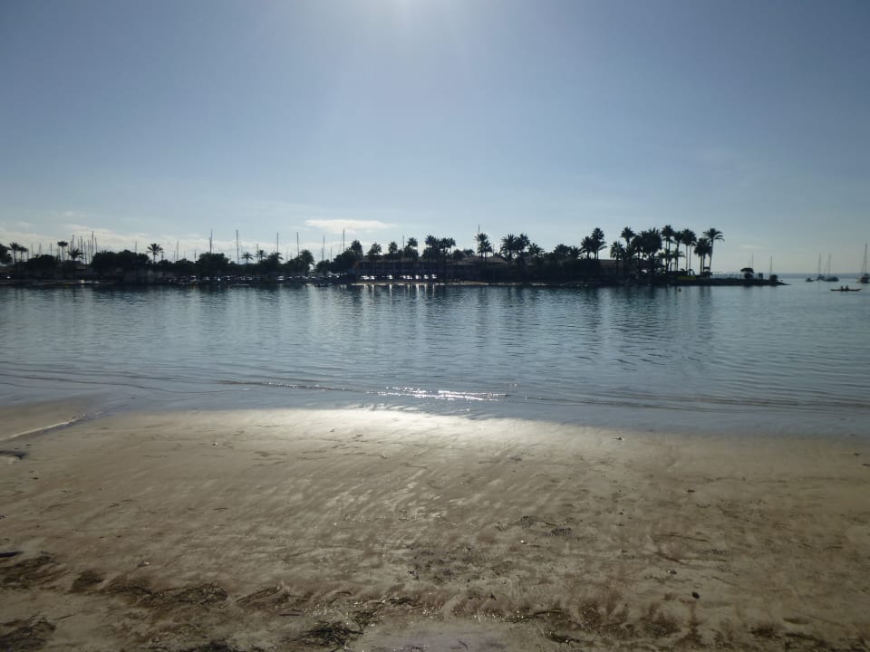 Strand Alcudiamar Marina Residence