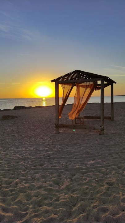 Strand Beach Safari Nubian Resort