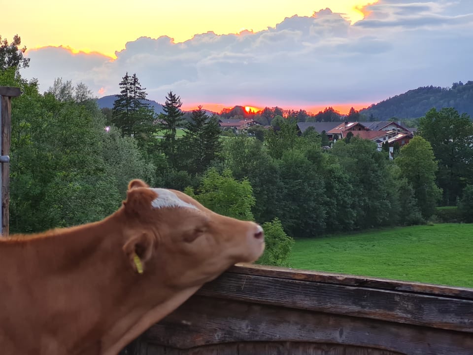 Sonstiges Ferienwohnungen Stöcklhof