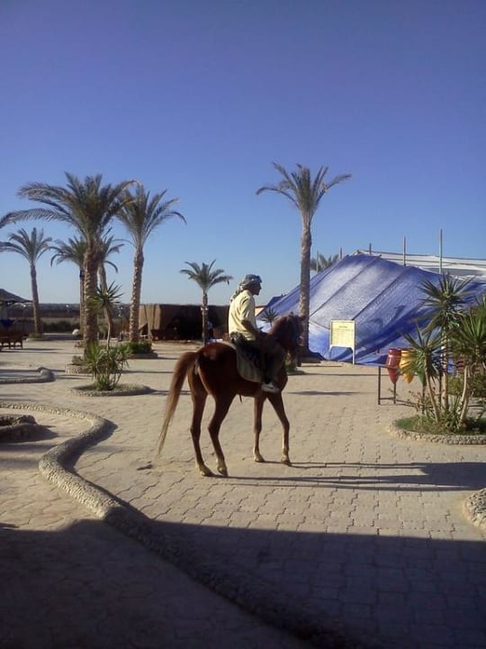 Western Riviera Aqua Park Resort